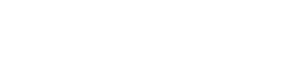 Damani Realty Smart Investors