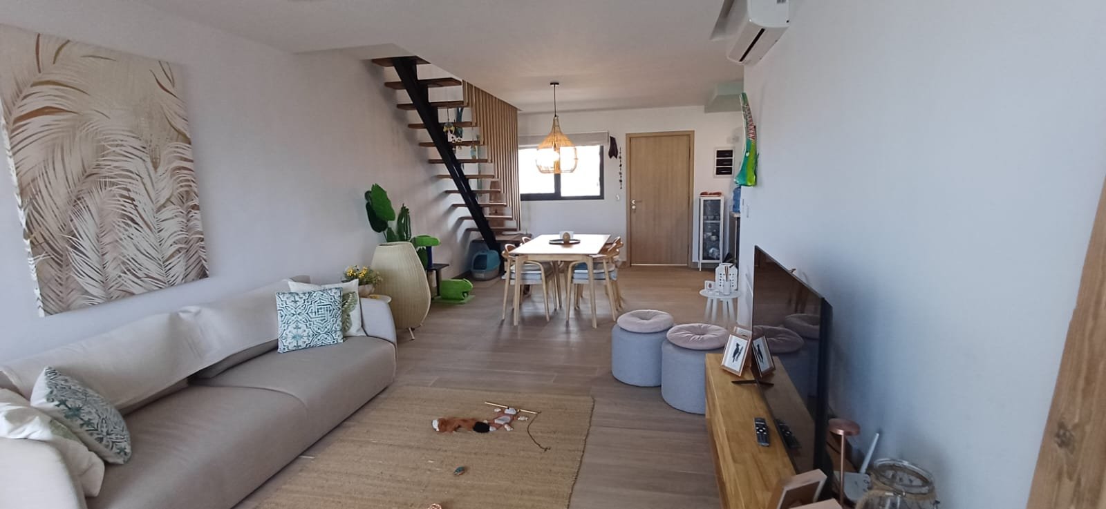 WhatsApp Image 2026-02-23 at 13.08.44 (4)